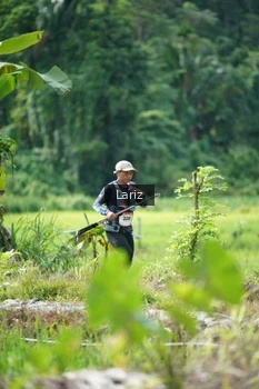 Runner Photo 2437544