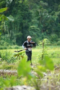 Runner Photo 2437550