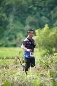 Runner Photo 2437558