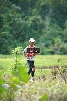 Runner Photo 2437611