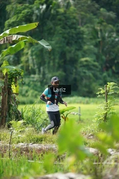 Runner Photo 2437747