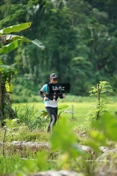 Runner Photo 2437753