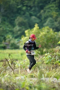 Runner Photo 2437784