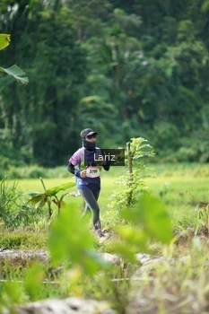 Runner Photo 2437849