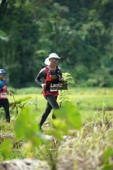 Runner Photo 2438017