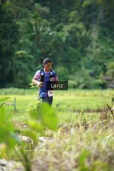 Runner Photo 2438046