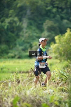 Runner Photo 2438140