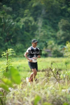 Runner Photo 2438227