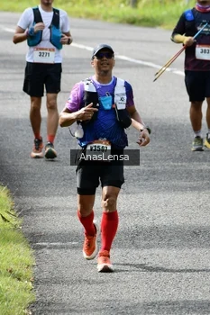 Runner Photo 2440608