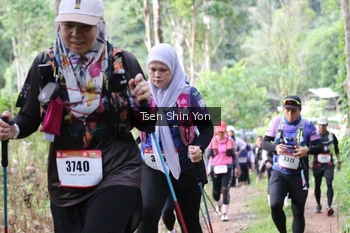 Runner Photo 2445874