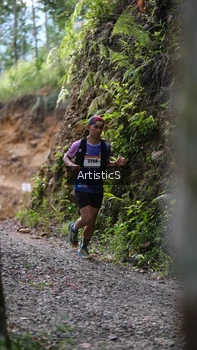 Runner Photo 2449264