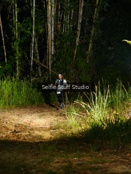Runner Photo 2449711