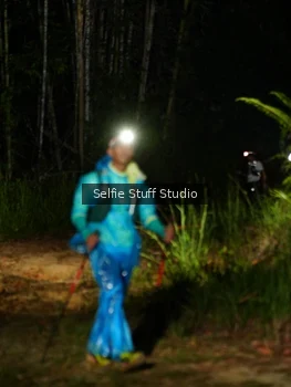 Runner Photo 2449789