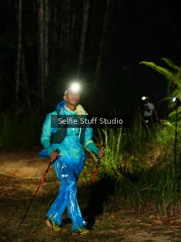 Runner Photo 2449795
