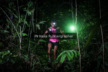 Runner Photo 2453923