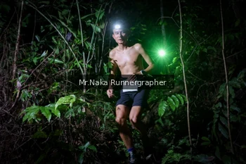 Runner Photo 2454210