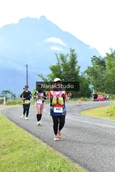Runner Photo 2454216