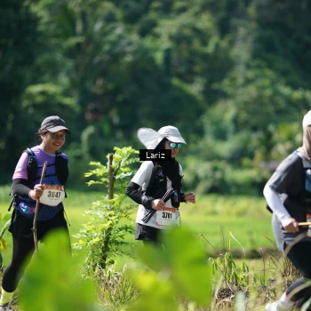 Runner Photo 2454677