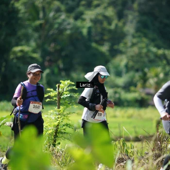Runner Photo 2454681