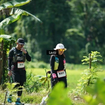 Runner Photo 2454758