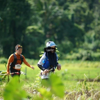 Runner Photo 2454835