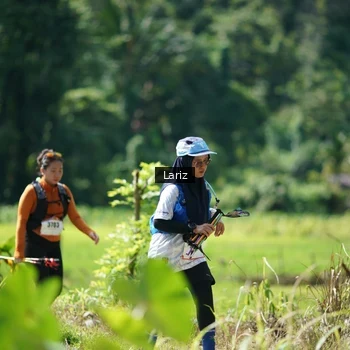 Runner Photo 2454856