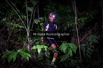 Runner Photo 2455051