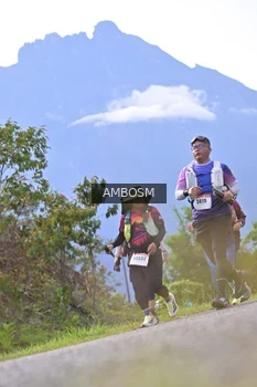 Runner Photo 2455829