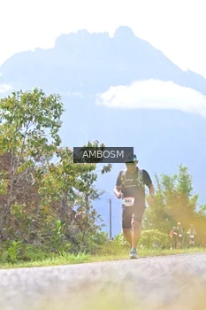 Runner Photo 2457889