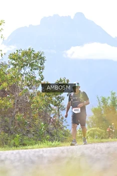 Runner Photo 2457897