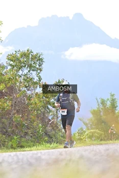 Runner Photo 2457908