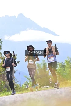 Runner Photo 2459286