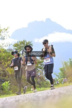 Runner Photo 2459303