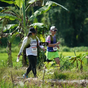 Runner Photo 2464015