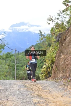 Runner Photo 2472894