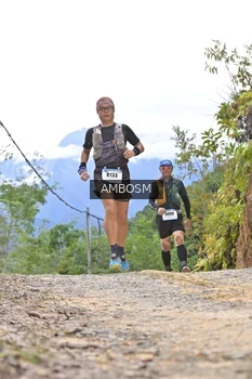 Runner Photo 2473146