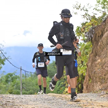 Runner Photo 2474403
