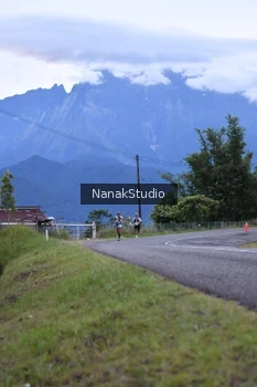 Runner Photo 2478490