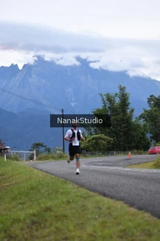 Runner Photo 2478514