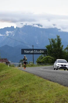 Runner Photo 2478539