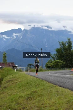 Runner Photo 2478542