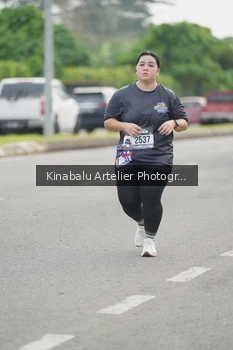 Runner Photo 2493403