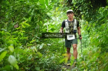 Runner Photo 2494938