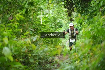 Runner Photo 2494940