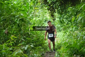 Runner Photo 2494941