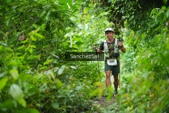 Runner Photo 2494943