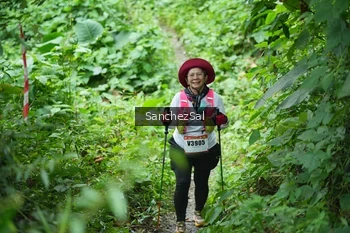 Runner Photo 2494951