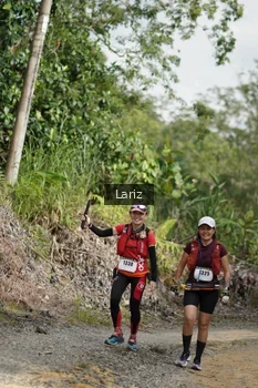 Runner Photo 2494999