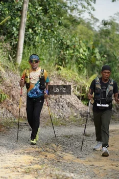 Runner Photo 2495135