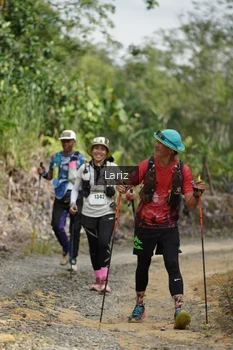 Runner Photo 2495173